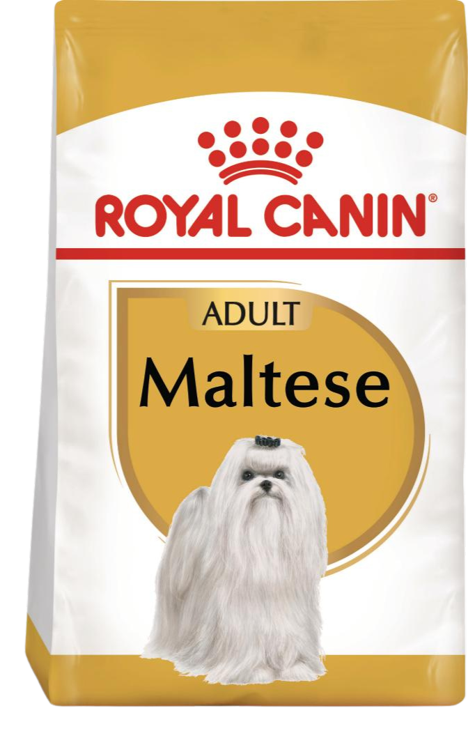 Royal Canin Maltese Adult – Суха храна за малтийска болонка