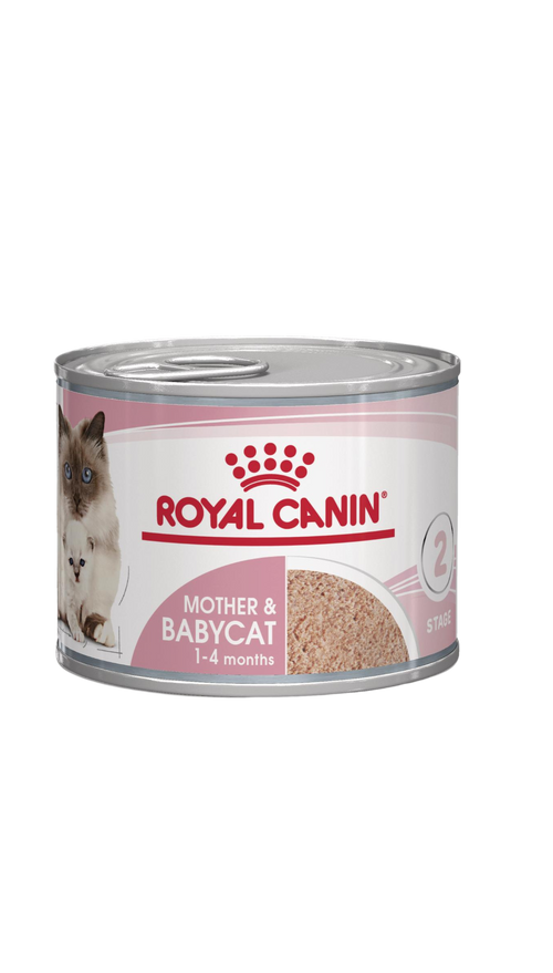 Royal Canin Mother & Babycat Mousse – Мокра храна за котки