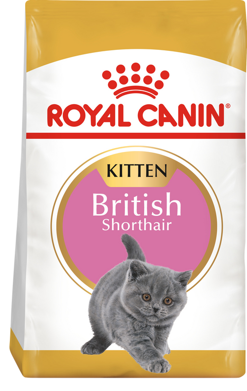 Royal Canin British Shorthair Kitten – Суха храна за котенц