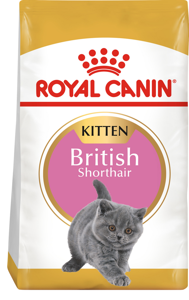 Royal Canin British Shorthair Kitten – Суха храна за котенц