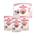 Royal Canin Kitten Multipack – Мокра храна за котенца