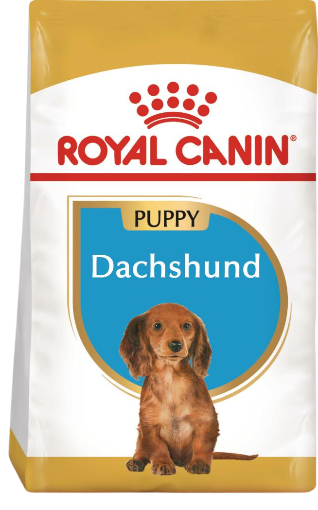 Royal Canin Dachshund Puppy - храна за кученца порода дакел