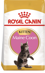 Royal Canin Maine Coon Kitten – Суха храна за котенца