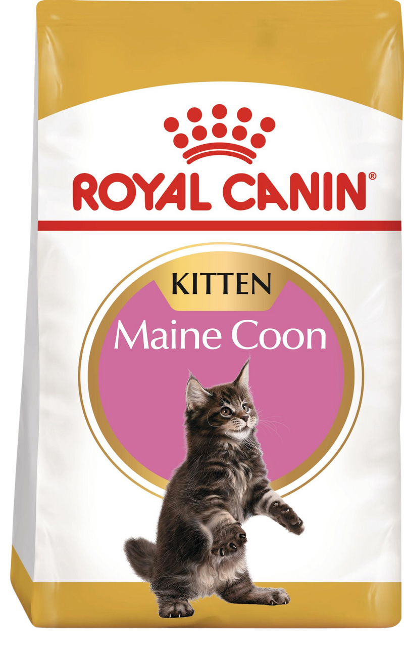 Royal Canin Maine Coon Kitten – Суха храна за котенца