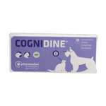 Cognidine - невропротекция за възрастни кучета и котки