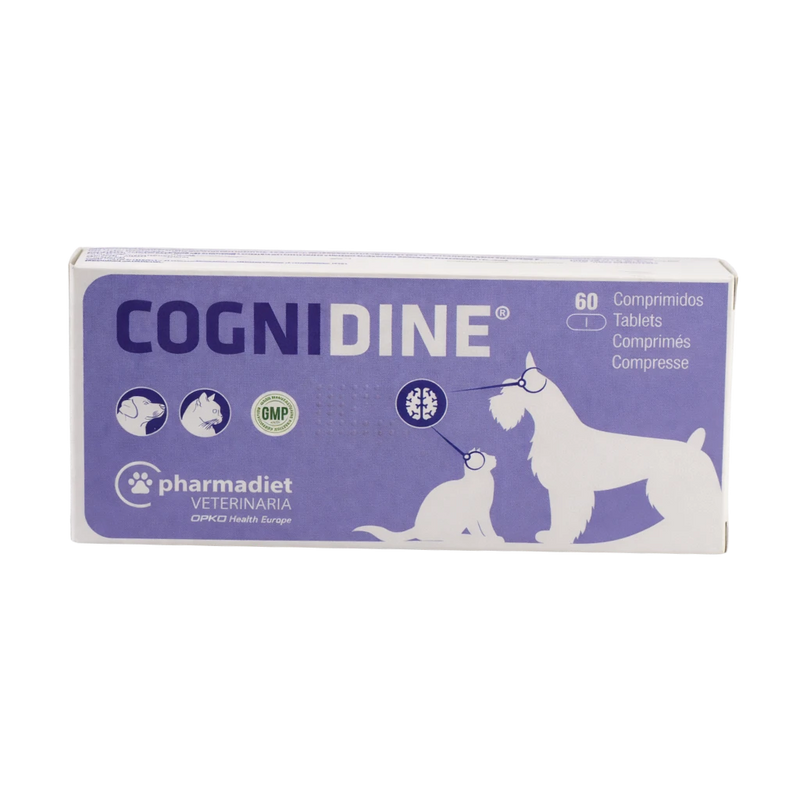 Cognidine - невропротекция за възрастни кучета и котки