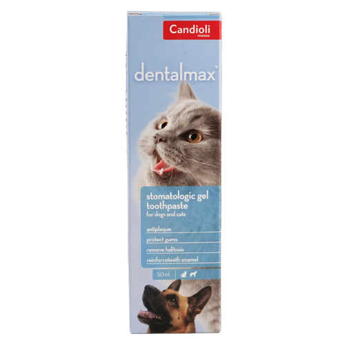 Candioli - DentalMax Gel
