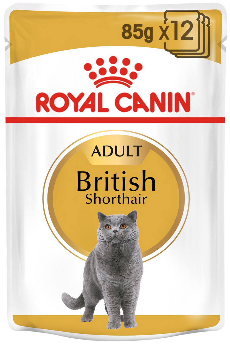 Royal Canin British Shorthair Adult in Gravy – Пауч за котки