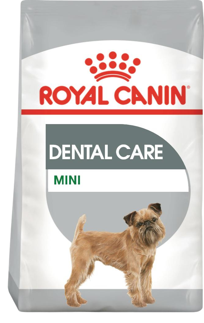 Royal Canin CCN Mini Dental Care - Пълноценна суха храна за кучета в зряла възраст