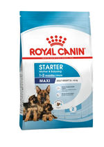 Royal Canin Maxi Starter Mother & Babydog – Суха храна за майка и кученца