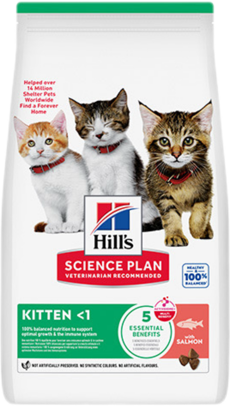 Hill's Science Plan Feline Kitten Salmon – Суха храна за котенца